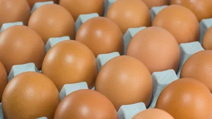 Ouă contaminate cu Salmonella descoperite în Bucureşti. Un lot întreg a fost oprit de la comercializare