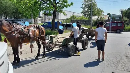 Negoiță face ordine în sectorul 3. Autoritățile au confiscat mai multe căruțe care treceau prin București
