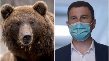 SCANDALOS | Ministrul Mediului ia apărarea prinţului care a împuşcat cel mai mare urs din România. 