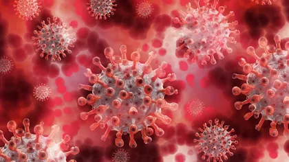 Cum arată coronavirusul în vasele de sânge ale unui pacient infectat. Fotografia făcută publică de medici