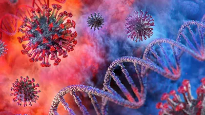 STUDIU CORONAVIRUS: Imunitatea ar putea rămâne toată viaţa. Celulele care păstrează memoria virusului persistă în măduva osoasă