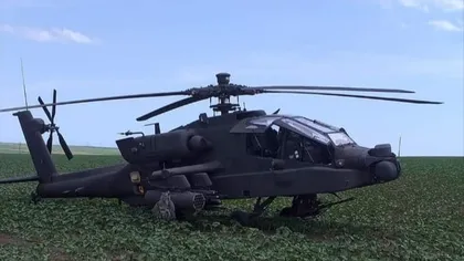 Elicopter aterizat de urgenţă într-un lan de rapiţă în Constanţa VIDEO