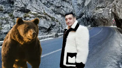 George Simion, reacție furibundă după uciderea ilegală a ursului: ”România nu este groapa de gunoi a nimănui”
