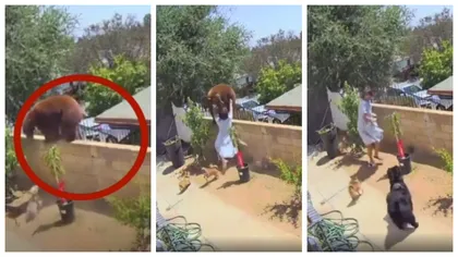 Imagini incredibile! Ea e adolescenta care s-a luptat cu ursul pentru a-și apăra câinii VIDEO