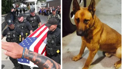 Câine - polițist, ucis în timpul misiunii în timp ce încerca să-și salveze colegii, a fost înmormântat ca un erou, cu onoruri militare. Zeci de persoane au participat la ceremonie