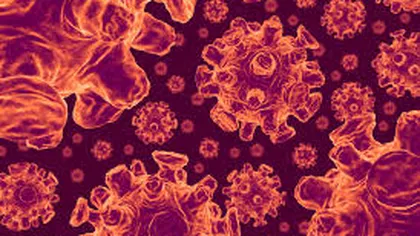 MERS-CoV, virusul care ar putea declanşa o nouă pandemie. Care sunt simptomele