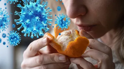 STUDIU La cât timp după infectarea cu coronavirus îşi recuperează pacienţii simţul mirosului