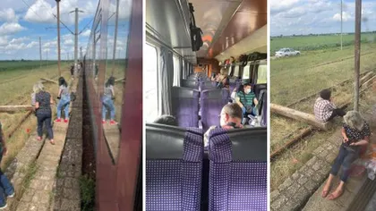 Pasageri uitați ore întregi pe un câmp, după ce trenul care trebuia să-i ducă la București s-a defectat. 