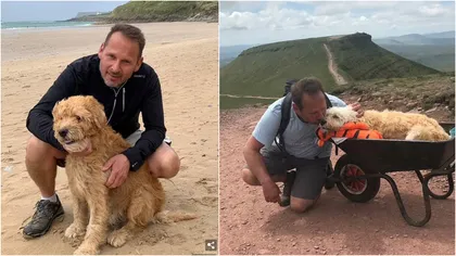 Emoționant! Un bărbat își duce câinele, pe moarte, la o ultimă plimbare în locul preferat al patrupedului pentru a-i alina durerile VIDEO