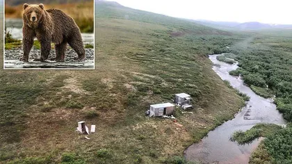 Viaţa bate filmul. Un bărbat a supravieţuit după ce a fost atacat timp de o săptămână de un urs grizzly
