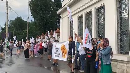 Protest la Palatul Cotroceni. Românii cer intervenția lui Klaus Iohannis pentru a salva Roșia Montană - VIDEO