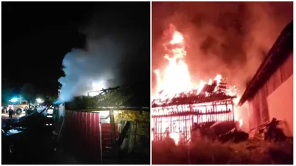 O comună din Suceava devastată de 4 incendii într-o singură noapte. Printre victime se află și o tânără însărcinată. Făptașul a fost prins
