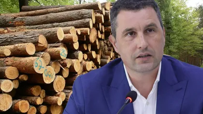 Ministrul Mediului, despre furtul de lemn din păduri: 