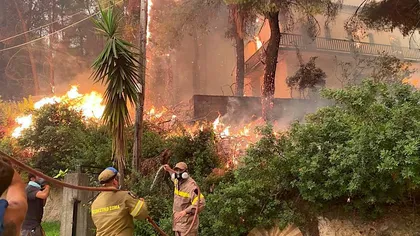 Grecia: Aproape 100.000 de hectare distruse de flăcări în două săptămâni VIDEO