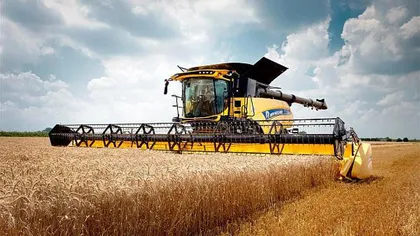 Record la producția de grâu și orz în 2021. Fermierii au obținut în medie peste 5,3 tone la hectar, cea mai bună producţie din ultimii 10 ani