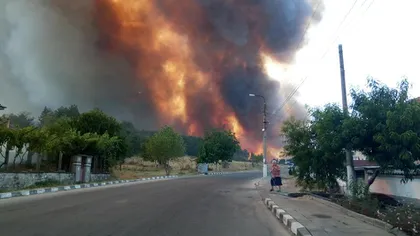 Focul, la graniţele României. Incendiile din Bulgaria au mistuit deja case şi zeci de hectare de pădure