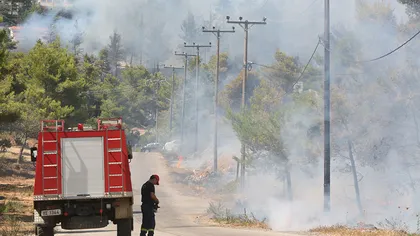 Incendiile din Grecia au ajuns în apropiere de Atena. Mai multe sate au fost evacuate