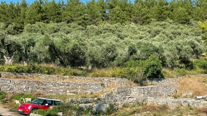 Cum a reuşit un român să parcheze maşina chiar într-un sit arheologic din Grecia. Amenda uriaşă care i-a putea strica vacanţa