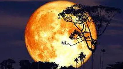 Lună Plină pe axa Scorpion-Taur, SCHIMBARE URIAŞĂ: Bani, siguranţă, informaţii ascunse