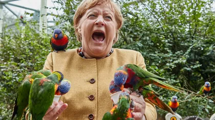 Angela Merkel, asaltată şi ciupită de papagali GALERIE FOTO