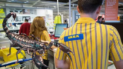 Angajată a restaurantului Ikea din Bucureşti, înţepată de un scorpion