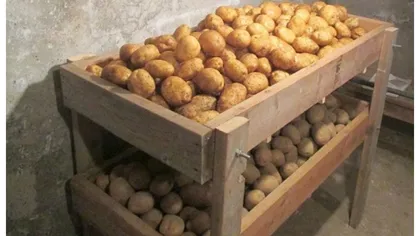 Cum se păstrează cartofii iarna ca să nu se strice. Greşeala majoră pe care o fac gospodinele