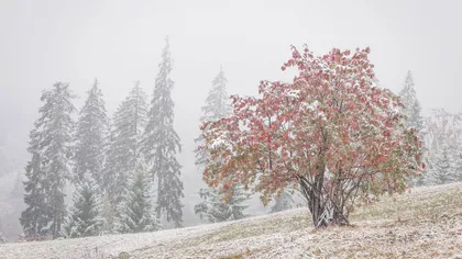 Prognoza meteo pentru următoarele două săptămâni: Ploi şi vreme rece în următoarele zile. Lapoviţă şi ninsori în mai multe regiuni la început de decembrie