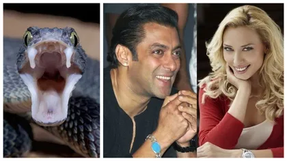 Actorul Salman Khan a fost mușcat de 3 ori de un șarpe veninos chiar în ziua de Crăciun. Iubitul Iuliei Vântur, internat în spital