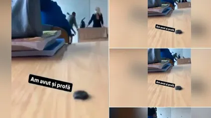 Un viral de pe TikTok poate aduce exmatricularea unor elevi. Adolescenții și-au filmat profesoara în timp ce a căzut cu scaunul lângă catedră! - Video