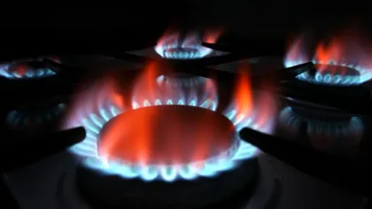 Guvernul a decis prin OUG branşarea gratuită a consumatorilor casnici la reţelele de gaze naturale şi energie