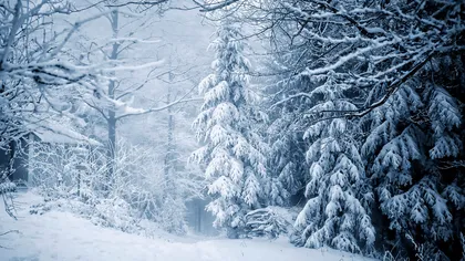 Prognoza meteo 22 decembrie. Val de aer polar peste România. Unde va mai ninge