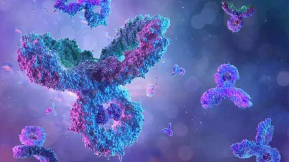COVID-19 poate declanşa producerea de anticorpi care pot ataca țesuturi și organe sănătoase - STUDIU