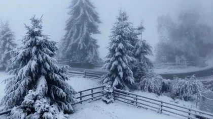 Prognoza meteo 8 - 21 ianuarie. Ger, viscol și ninsori în următoarele două săptămâni în România
