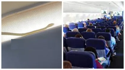 Șarpe descoperit la bordul unui avion! Panică uriașă printre pasageri, aeronava a deviat de la traseu