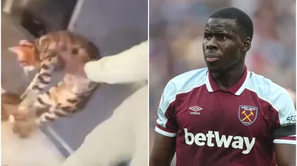 Kurt Zouma, filmat în timp ce îşi loveşte pisica! Starul francez al lui West Ham United va fi sancţionat VIDEO