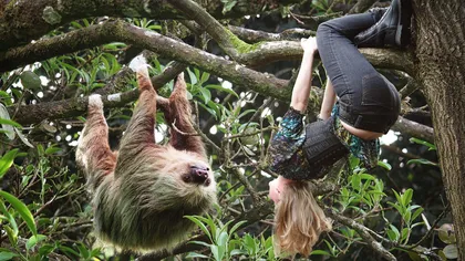 BANCUL ZILEI: Tarzan şi Jane îşi fac de cap în junglă. Jane îi explică lui Tarzan!