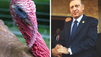 Turcia îşi schimbă numele. Cum vrea Erdogan să evite ca ţara sa să mai confundată cu un 