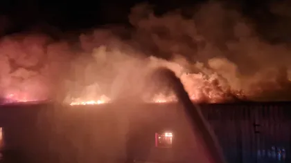 Incendiu violent la o fabrică de mezeluri din Prahova. Doi pompieri au fost răniţi VIDEO