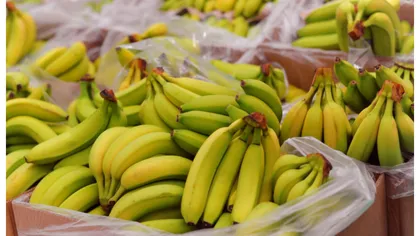 Banane cu pesticide şi îngheţată cu substanţă cancerigenă, retrase de la raft. Alertă ANSVSA