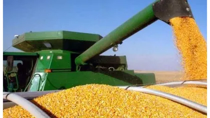 Război în Ucraina. România a ajuns cel mai mare exportator de soia, ulei de floarea-soarelui și porumb din UE