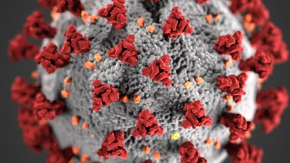 Bilanţ coronavirus 20 aprilie: Peste 1.100 de cazuri noi de COVID-19 şi 18 decese, în ultimele 24 de ore