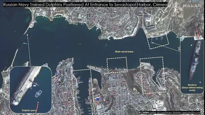 Armata de delfini ai lui Putin din Marea Neagră. Imagini uluitoare din satelit