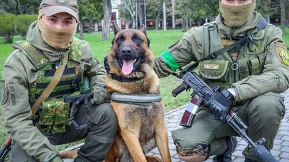 Război în Ucraina: Un câine a trecut din tabăra rusă la ucraineni, poveste fabuloasă VIDEO