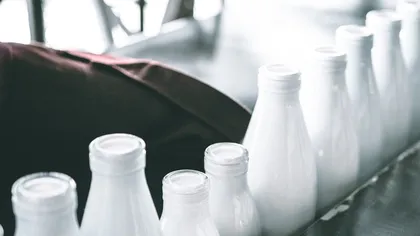 Beneficiile nebănuite pentru sănătate ale laptelui bătut