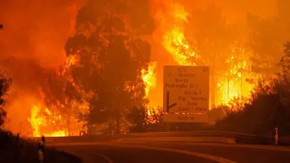 Incendiile de vegetaţie continuă să facă ravagii în Europa. VIDEO şocant din Spania