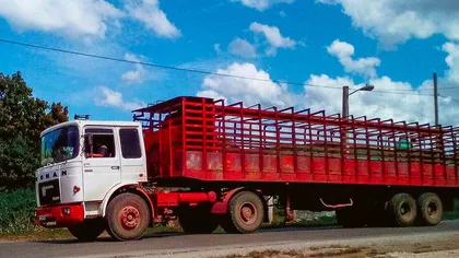 Ţara în care camioanele Roman produse la Braşov sunt întâlnite pe drum mai des decât în România. Un fotograf le-a făcut celebre