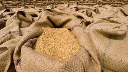 Ucraina a reluat exportul de cereale după eliberarea Insulei Şerpilor. Opt nave străine au fost deja încărcate