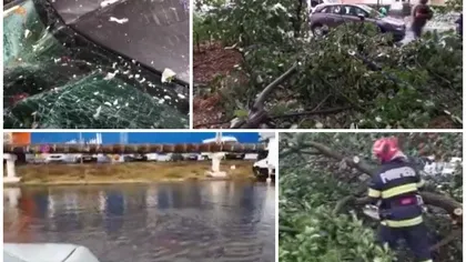 VIDEO! Prăpăd în vestul ţării după furtunile violente. Mai mulţi copaci şi acoperişuri au fost smulse de vijelie, iar o fermă a luat foc de la trăsnete