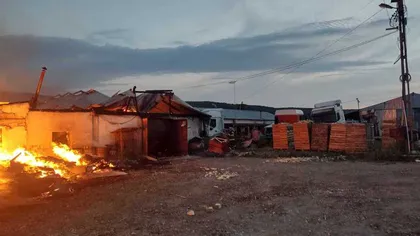 Incendiu violent în Bihor, la o hală de material lemnos