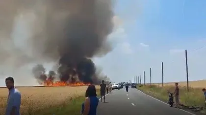 Incendiu devastator în Timiş, ard hectare întregi de cereale VIDEO